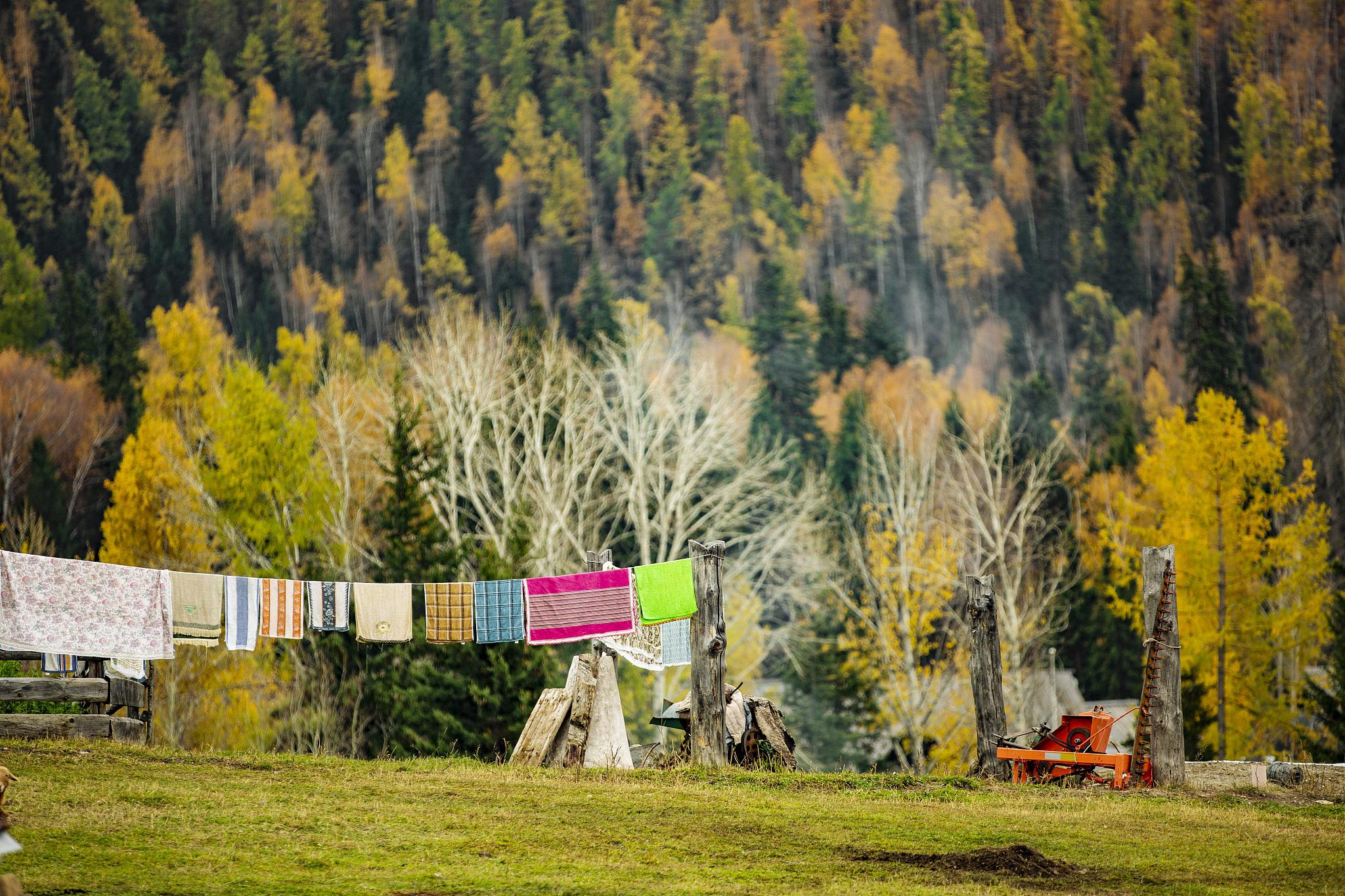 秋季环游乌鲁克萨依乡 乌鲁克萨依乡位于中国新疆维吾尔自治区,是一个