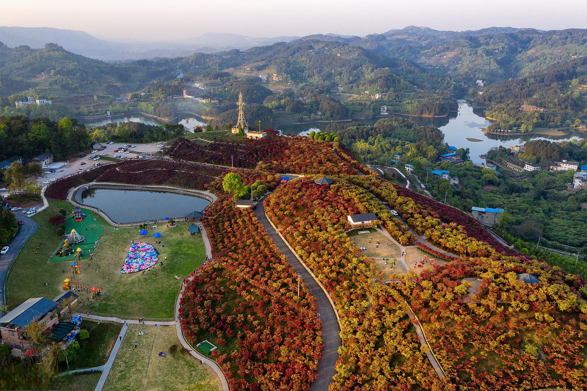 富顺秋季旅游攻略 四川富顺,一个充满历史韵味和自然美景的地方,在