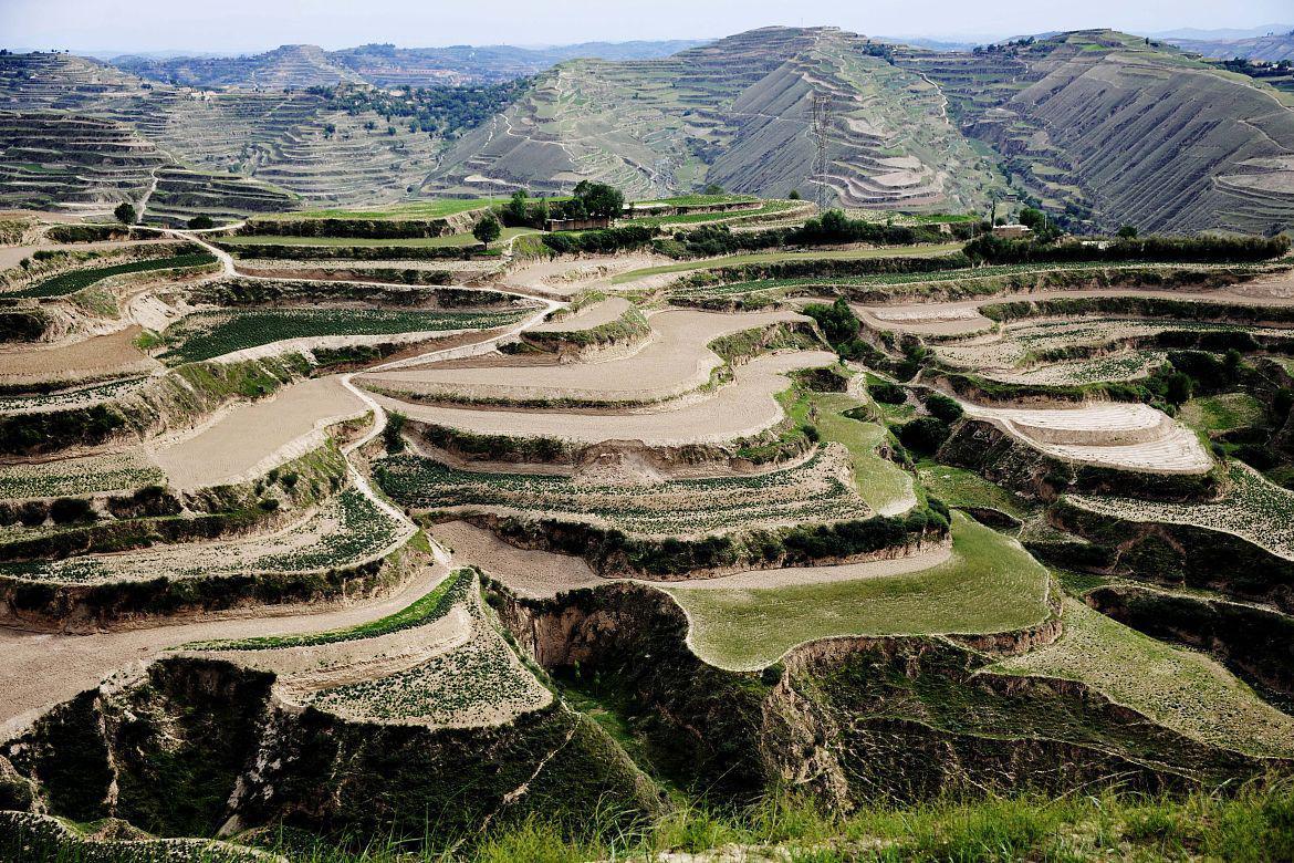 王金庄梯田:古老农业文明的象征与传奇 在中国广袤的农村土地上,散落