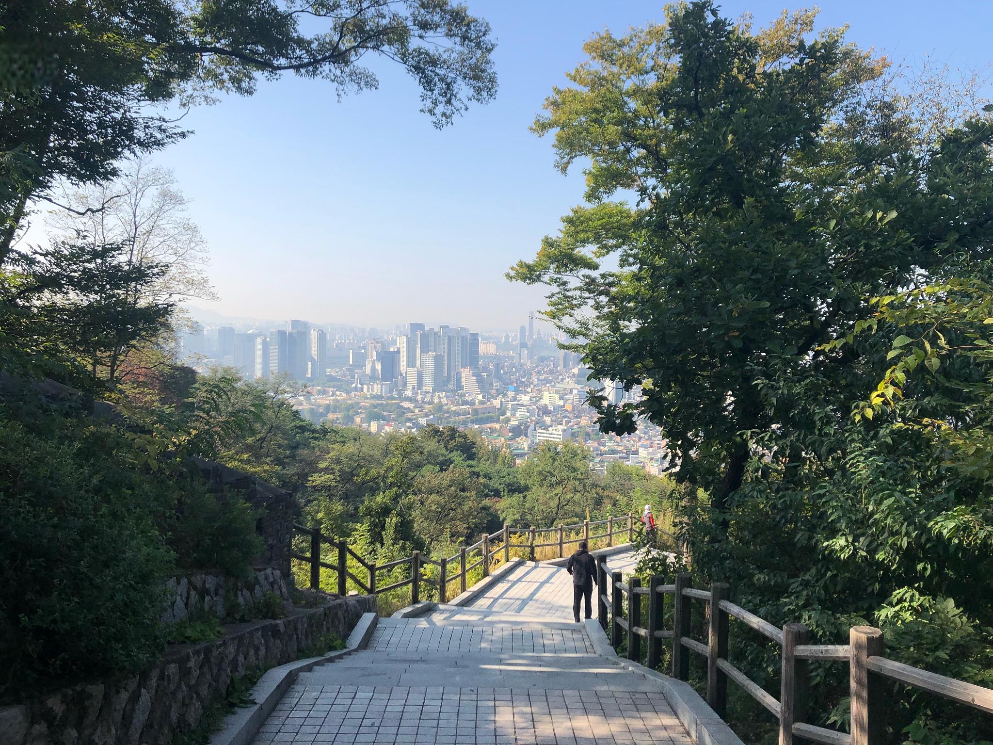 深圳平峦山公园,这个隐藏在城市中的自然秘境,或许能给你带来不一样的