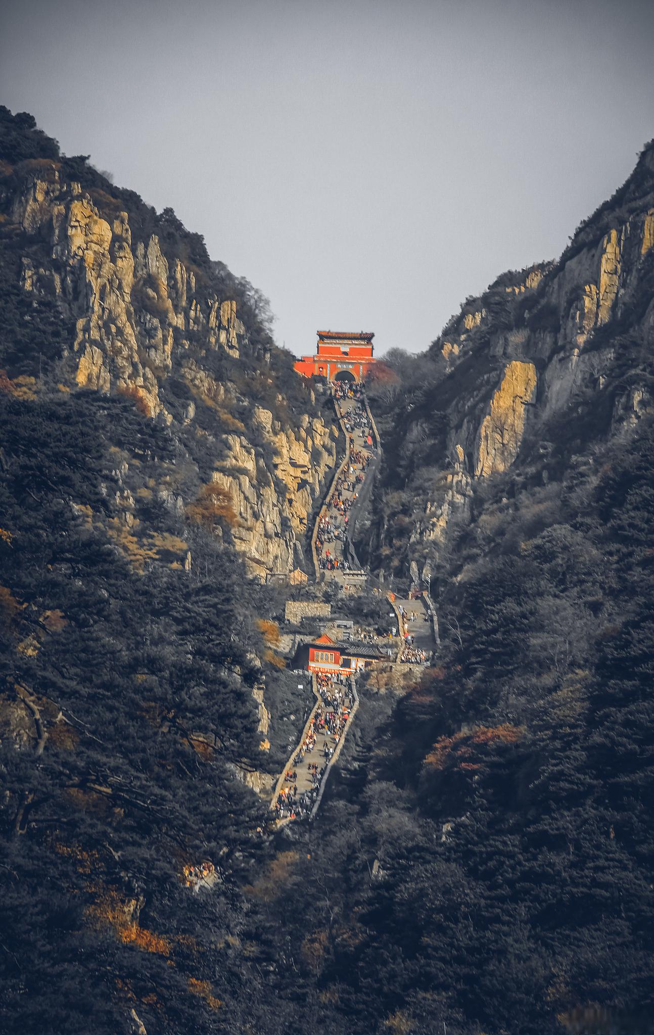 泰山真实照片图片