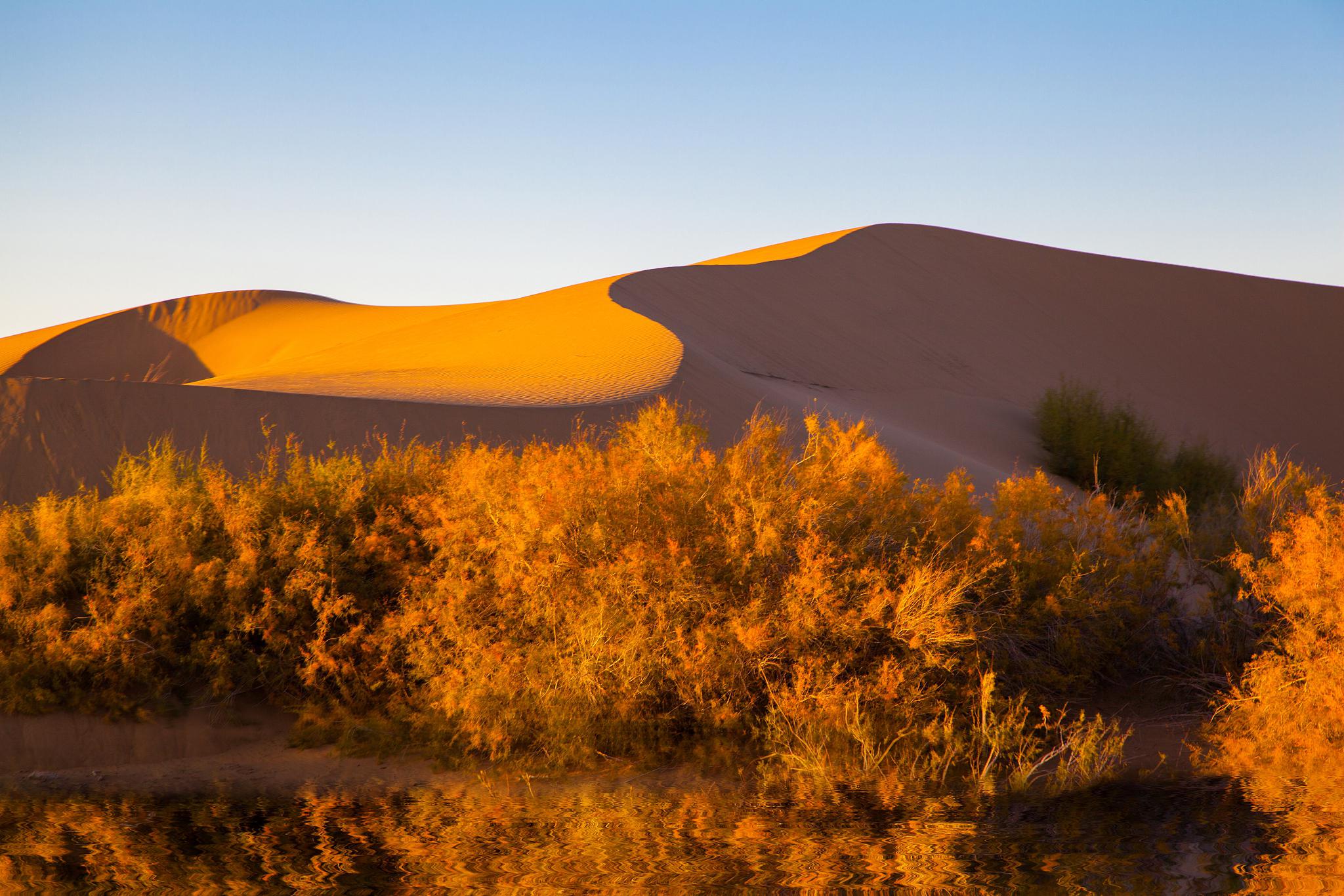 新疆之旅:大漠孤烟与秋天的碰撞 当秋天的色彩染遍新疆的大地,大漠孤