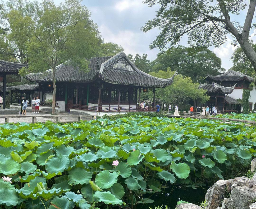 拙政园:中国园林艺术的杰作 拙政园位于中国江苏省苏州市,是一座著名