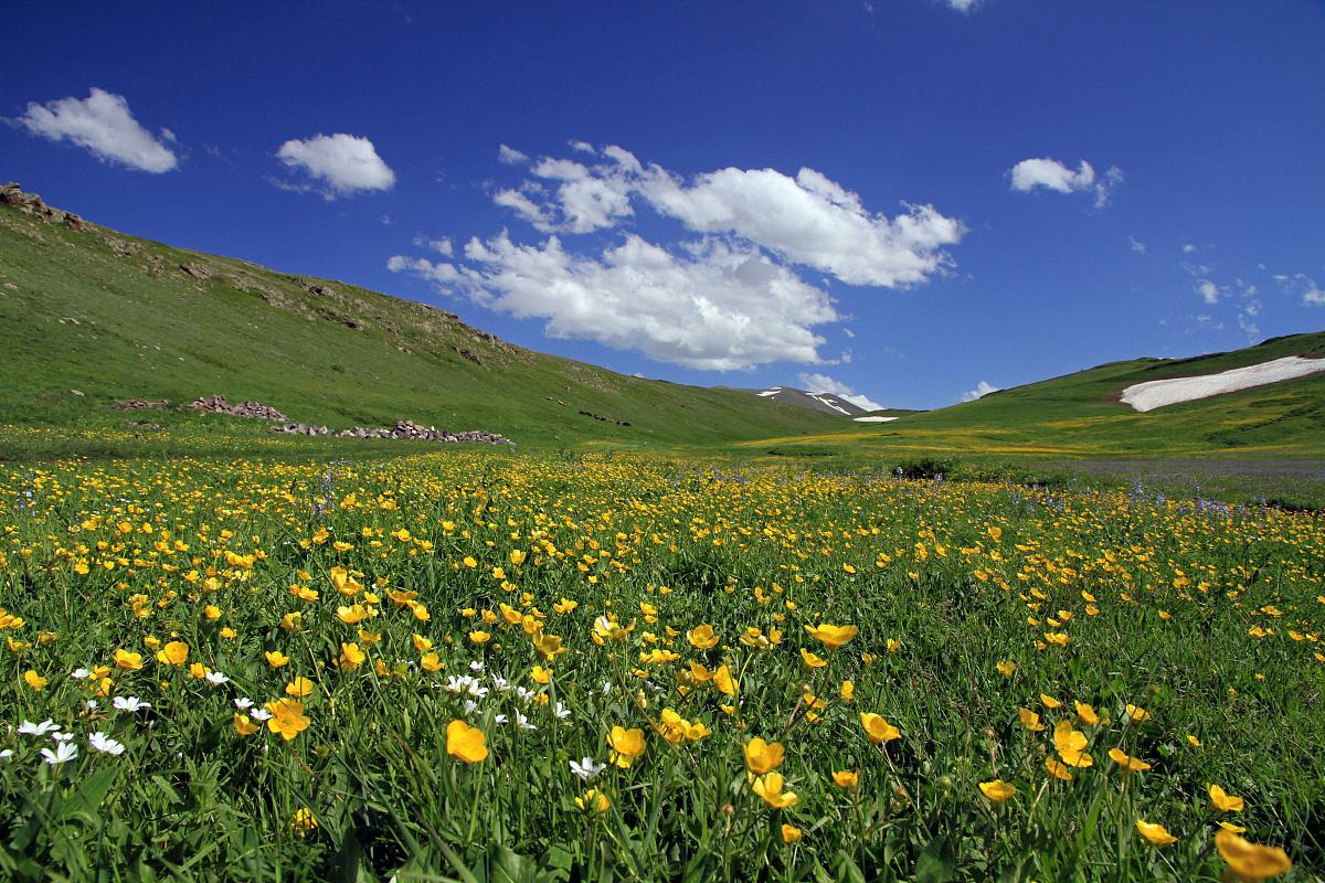 内蒙黄花沟风景区图片