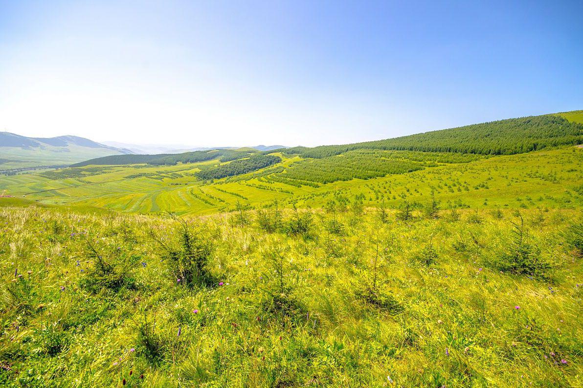 黄花沟旅游攻略 黄花沟,位于内蒙古自治区乌兰察布市集宁区,是一处