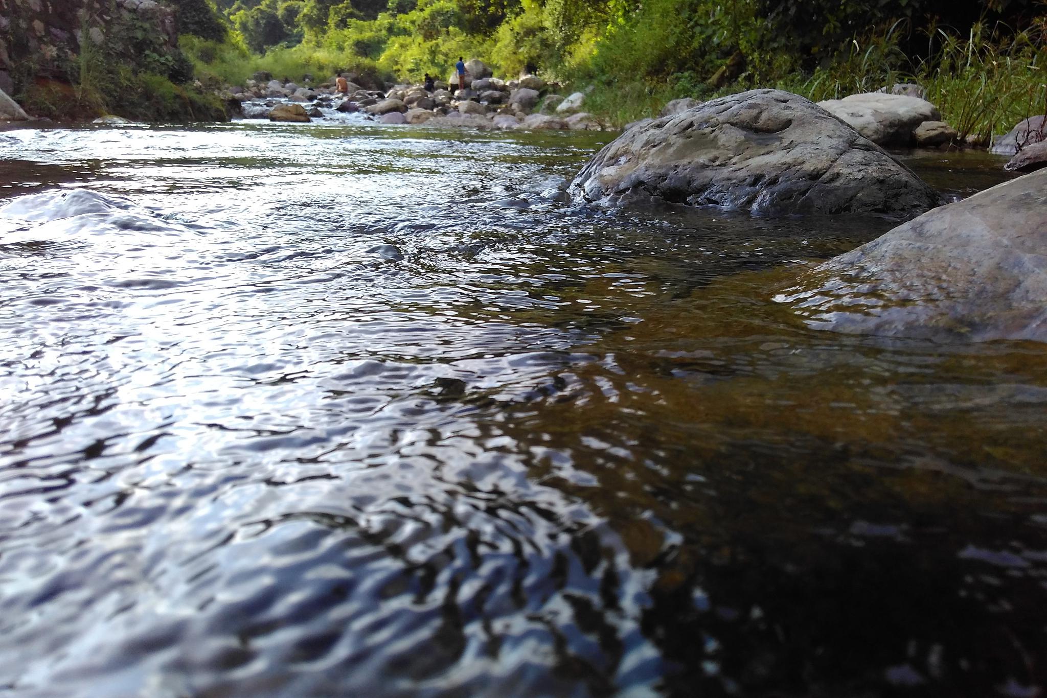 小溪的故事 在一片宁静的山间,有一条小溪,清澈的溪水宛如一面镜子