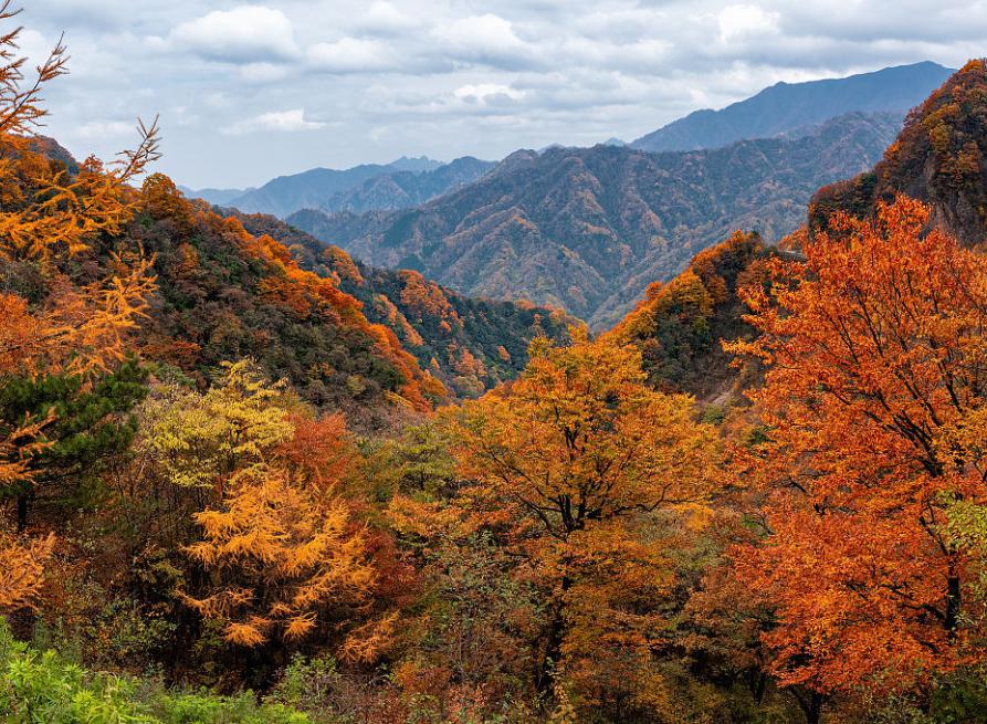 南江光雾山,秋景超治愈 秋天是大自然变换的季节,四川南江光雾山是一