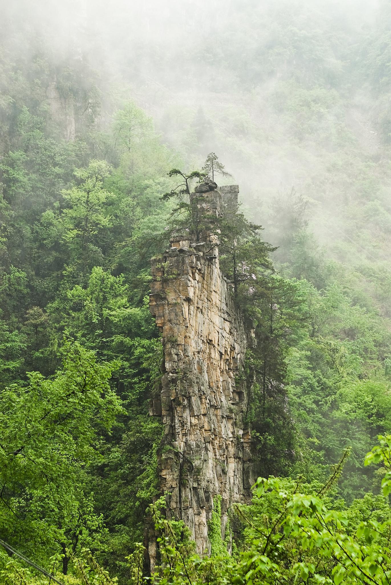 娄山山脉图片