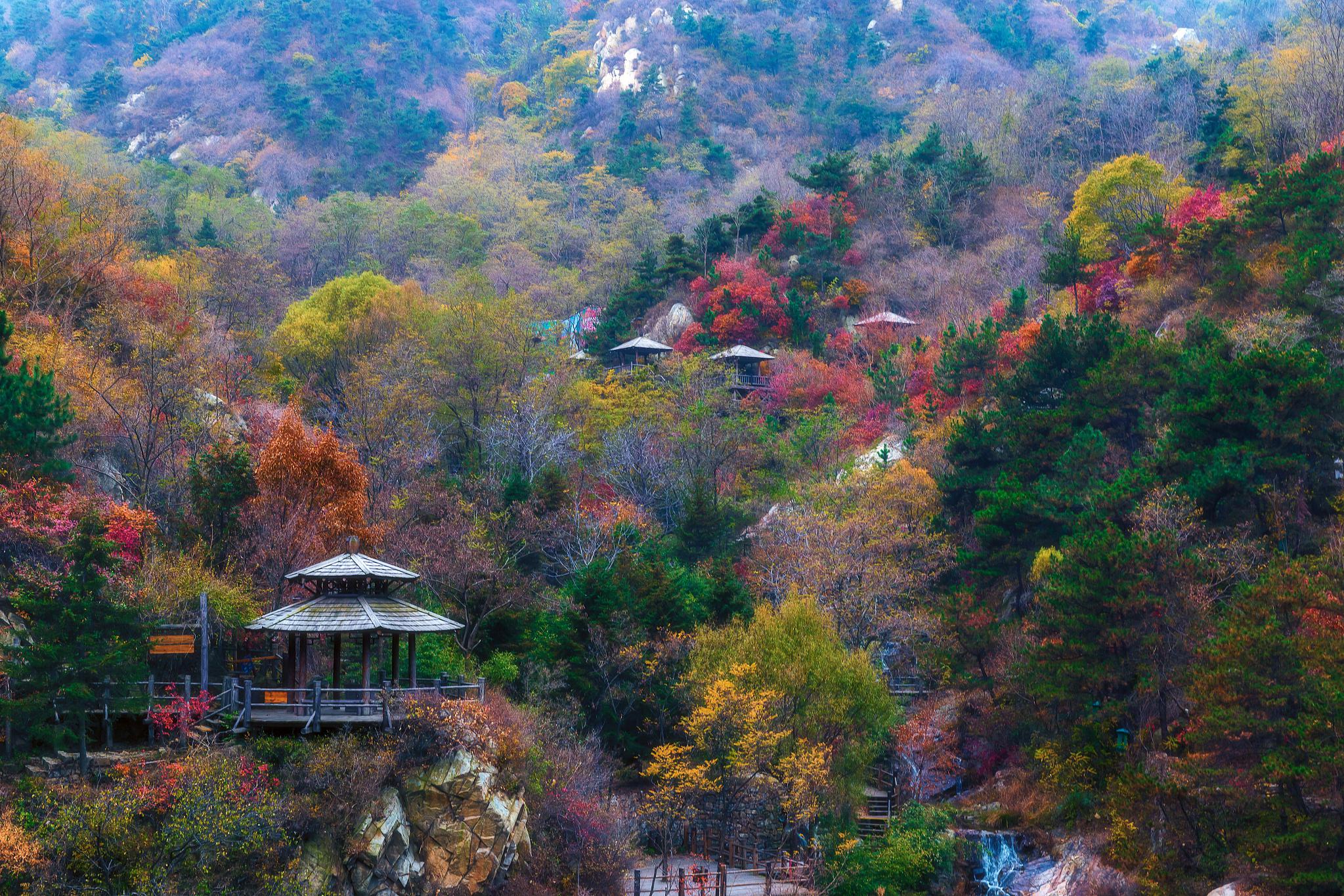 兴隆山景区在哪里图片