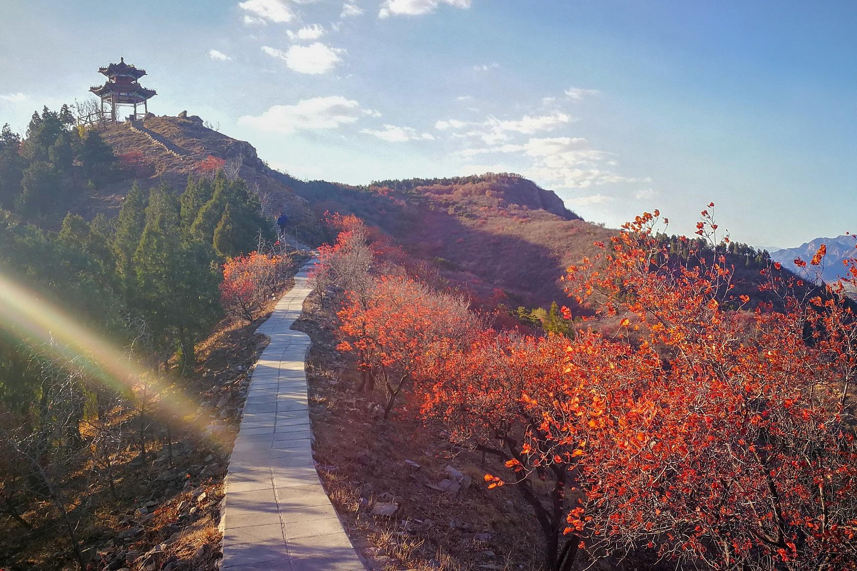 北京兴隆山景区旅游攻略 北京兴隆山景区位于北京市西北部,距离北京市
