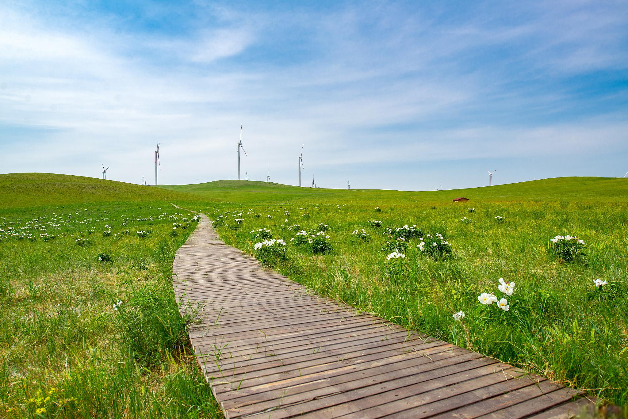 天路,一条值得探访的公路 草原天路,位于中国河北省张家口市张北县,是