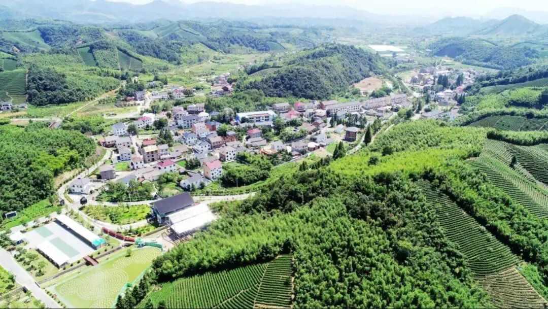 鲁家村的"田园"品牌建设之旅 鲁家村,一个充满田园风光和田园之乐的