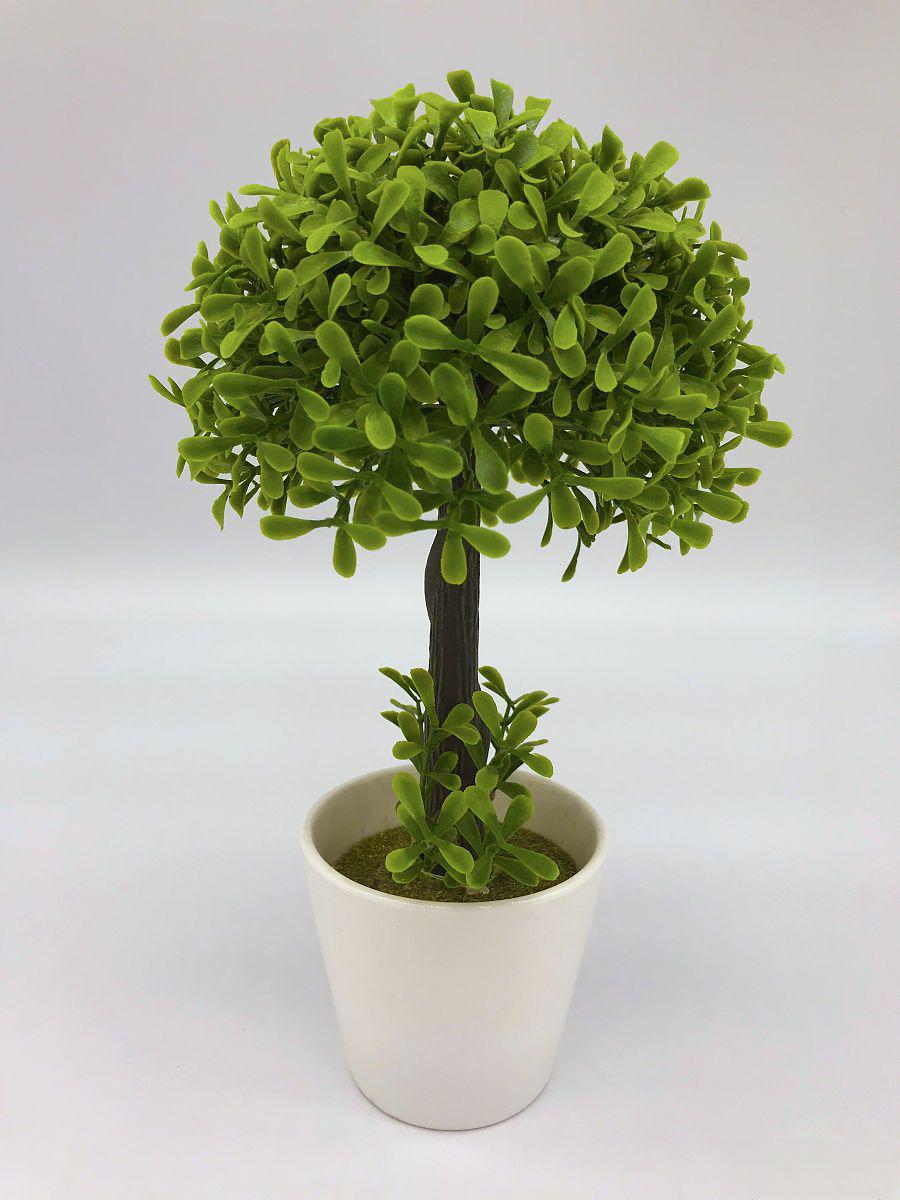 平安树的养殖方法和浇水技巧 平安树是一种常见的室内盆栽植物,被普遍