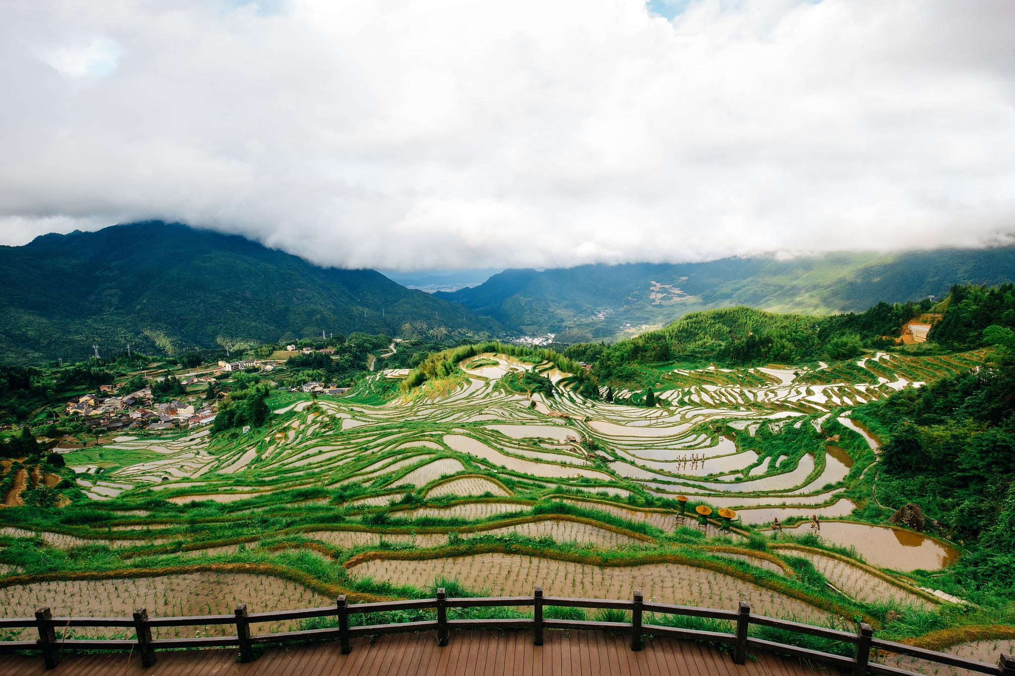 念山梯田图片