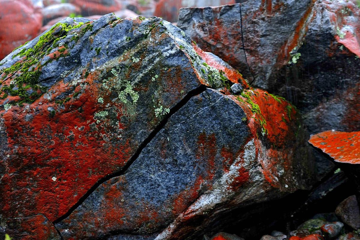 红河谷:云南的宝石 红河谷是云南省一颗璀璨的宝石,位于金沙江和红河