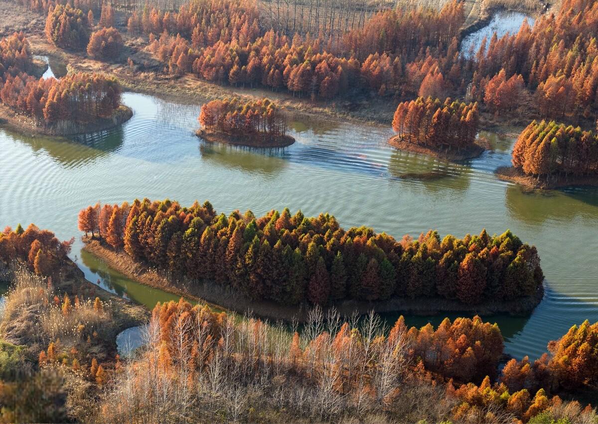 江苏肝胎县天泉湖景区冬日生态画卷 2023年12月1日,在江苏省肝胎县