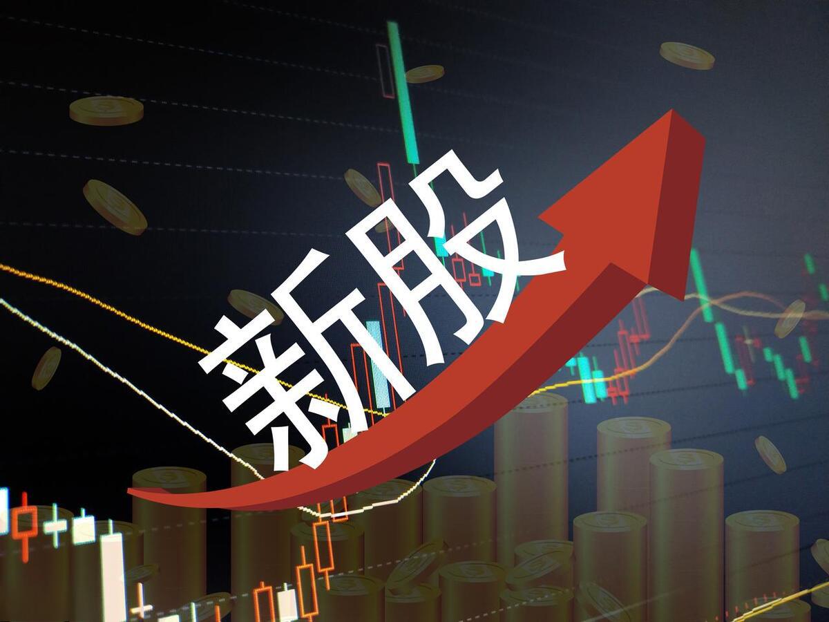 打新股:新股申购的投资之道 打新股,顾名思义,就是投资者在上市公司