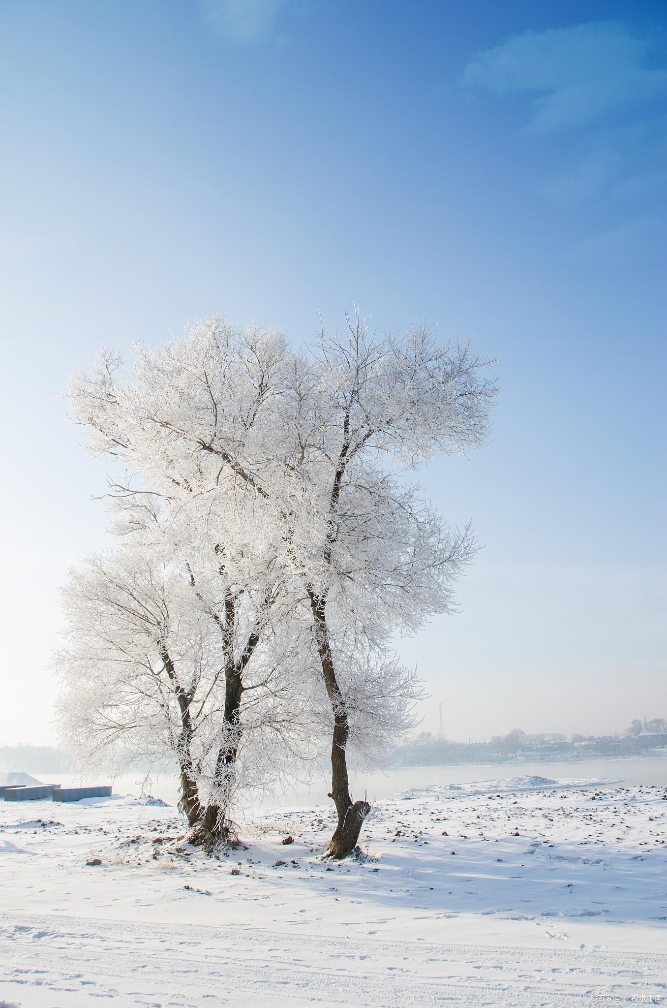 大自然雪景图片大全图片