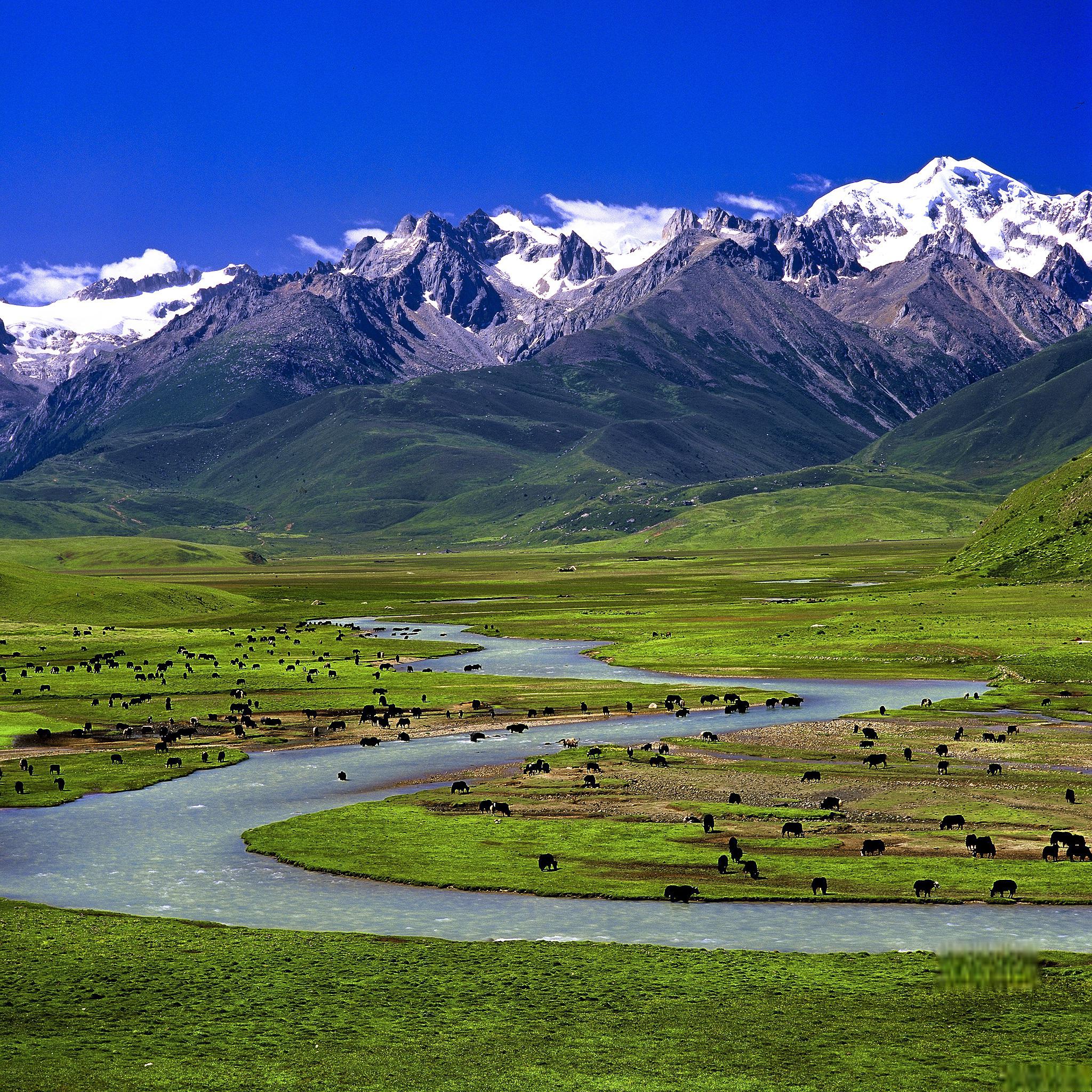 伊犁,这个被誉为"塞上江南"的地方 伊犁,这个被誉为"塞上江南"的地方