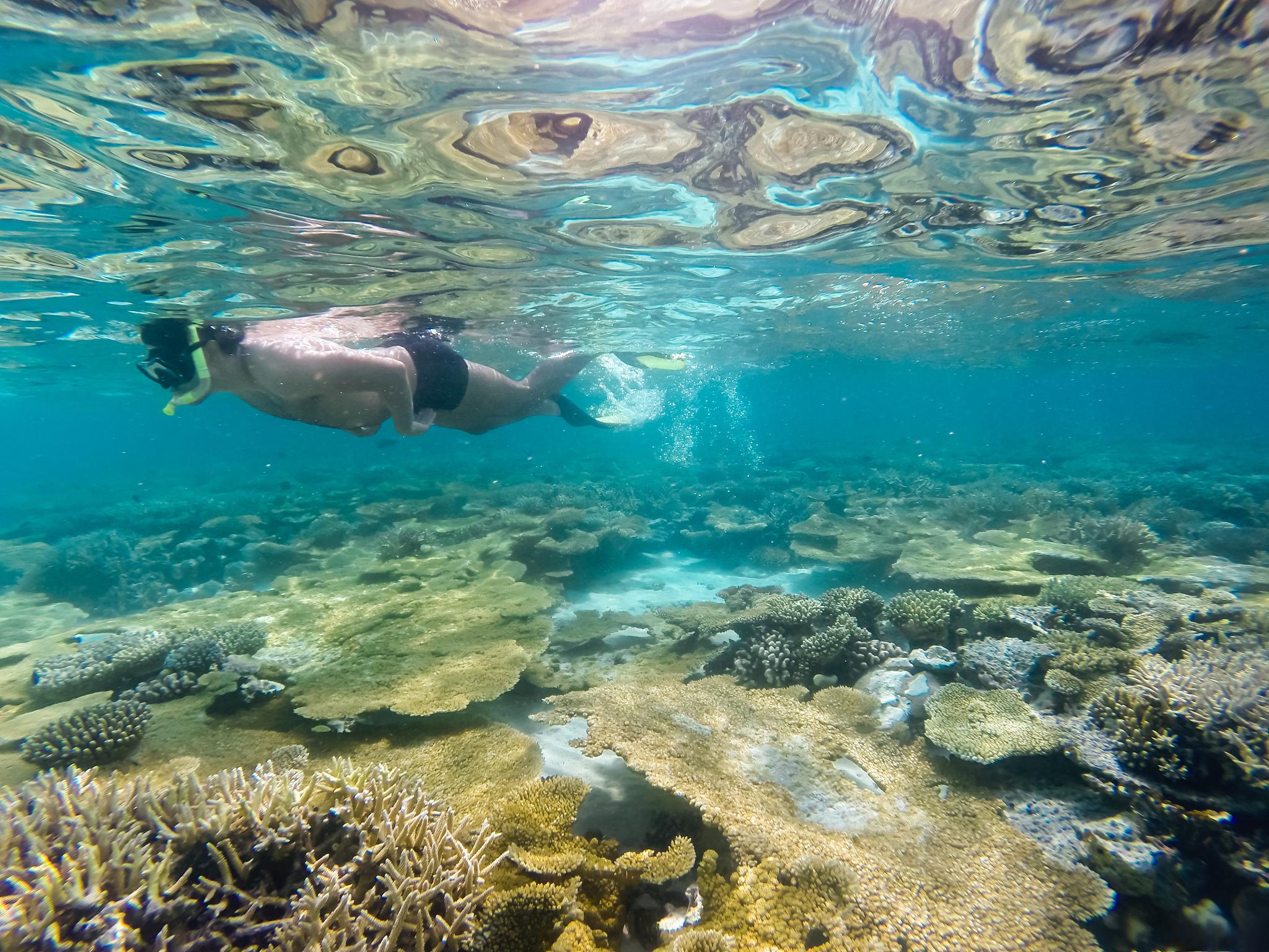 海底浮潜景色图片