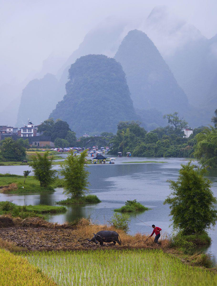 崇左明仕田园风景区图片