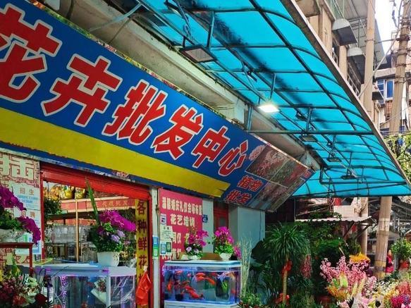 单洞鲜花市场,一个充满生机和美丽的地方 在武汉这座繁华的城市里,有