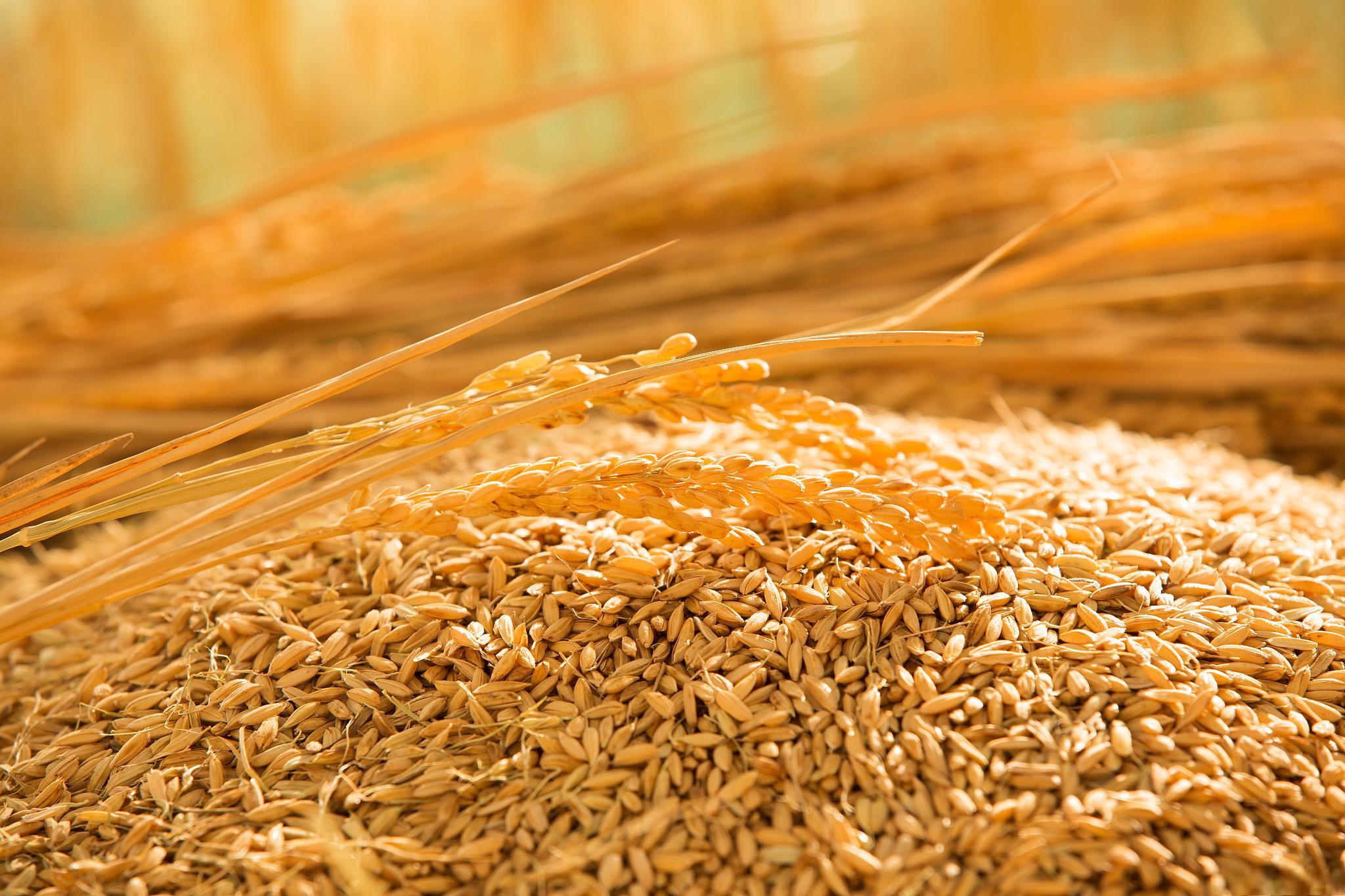 ������ʳ��������ʳ���Ը�������