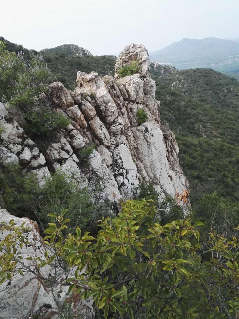 锦州市凌海市石山镇图片