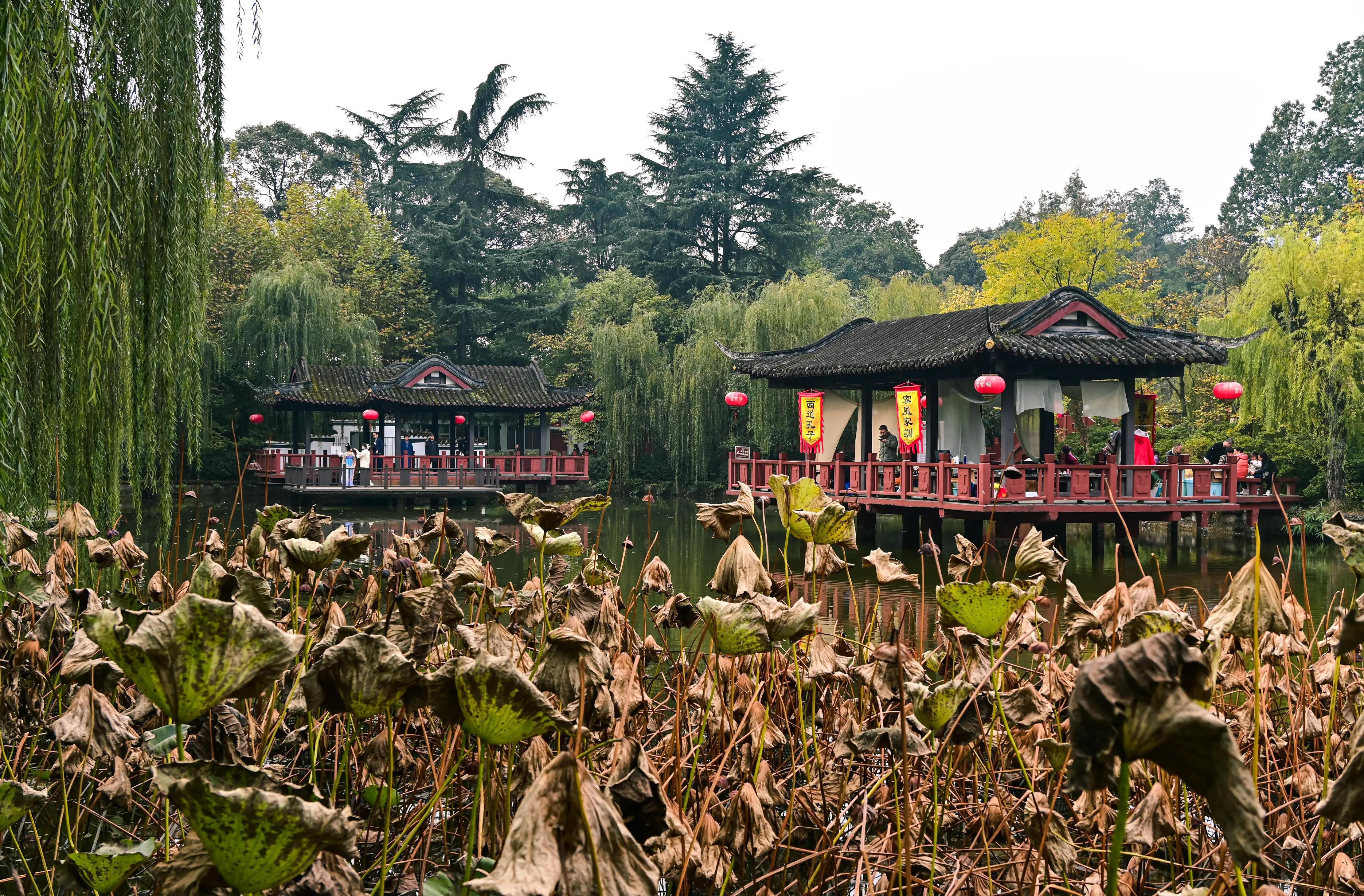成都望丛祠,一座园林建筑与历史文化的完美结合 深秋时节,成都的望丛