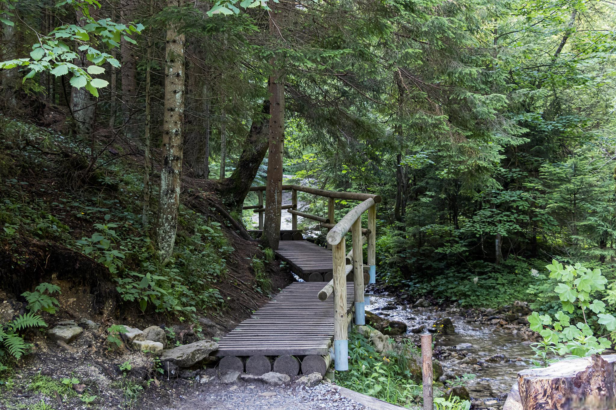 安吉天目山旅游攻略 安吉天目山,一个让人流连忘返的旅游天堂!