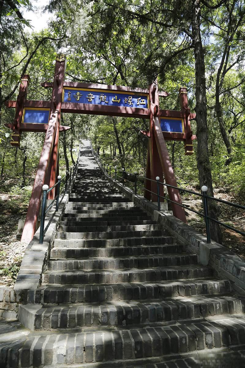 卓资大榆树风景区图片