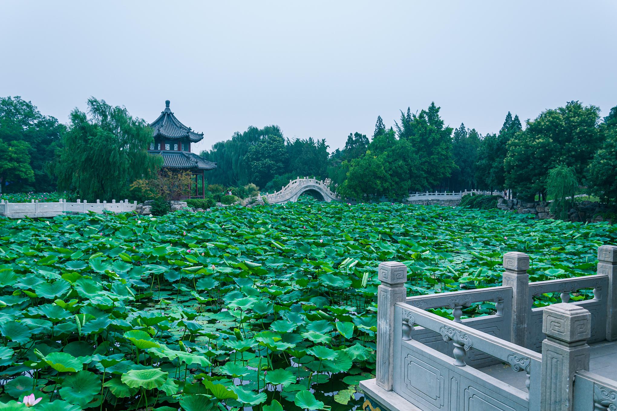 保定莲池区旅游景点图片