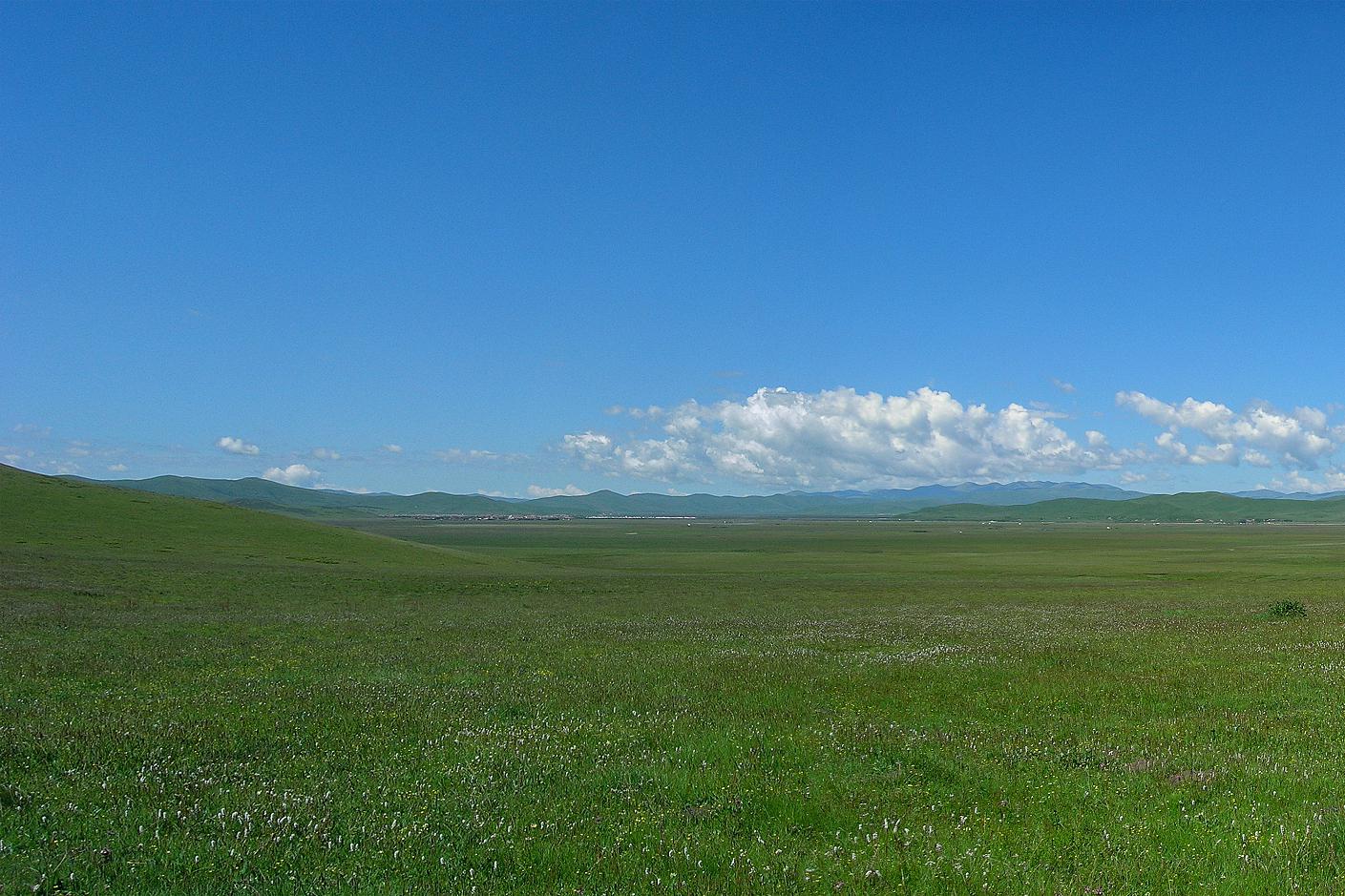 围场坝上草原是中国北方的一片美丽的草原,位于河北省承德市围场满族