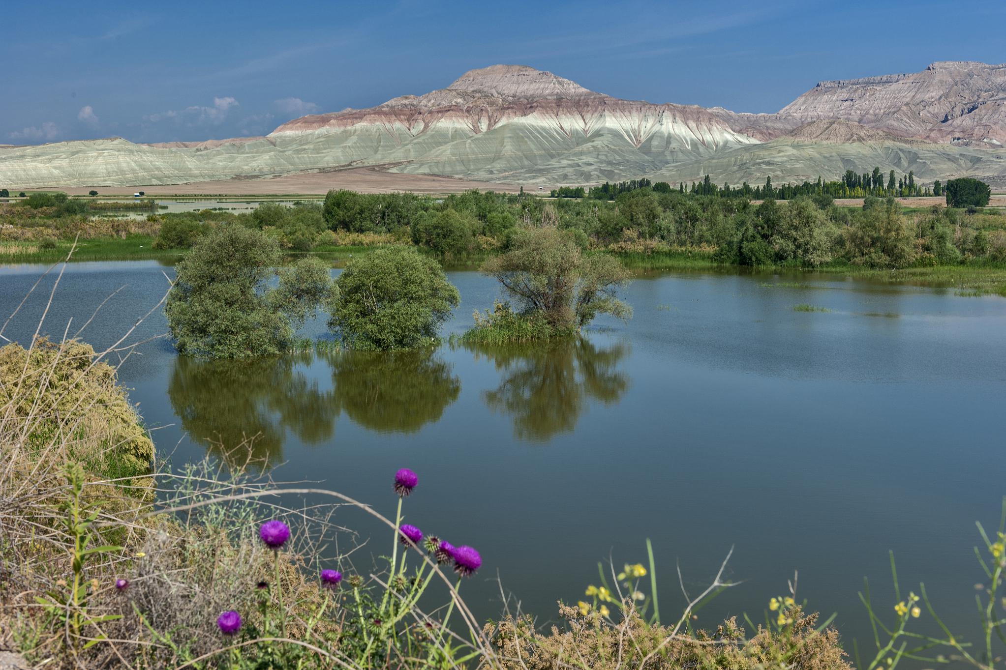 若羌县旅游景点推荐 若羌县,位于中国新疆维吾尔自治区巴音郭楞蒙古