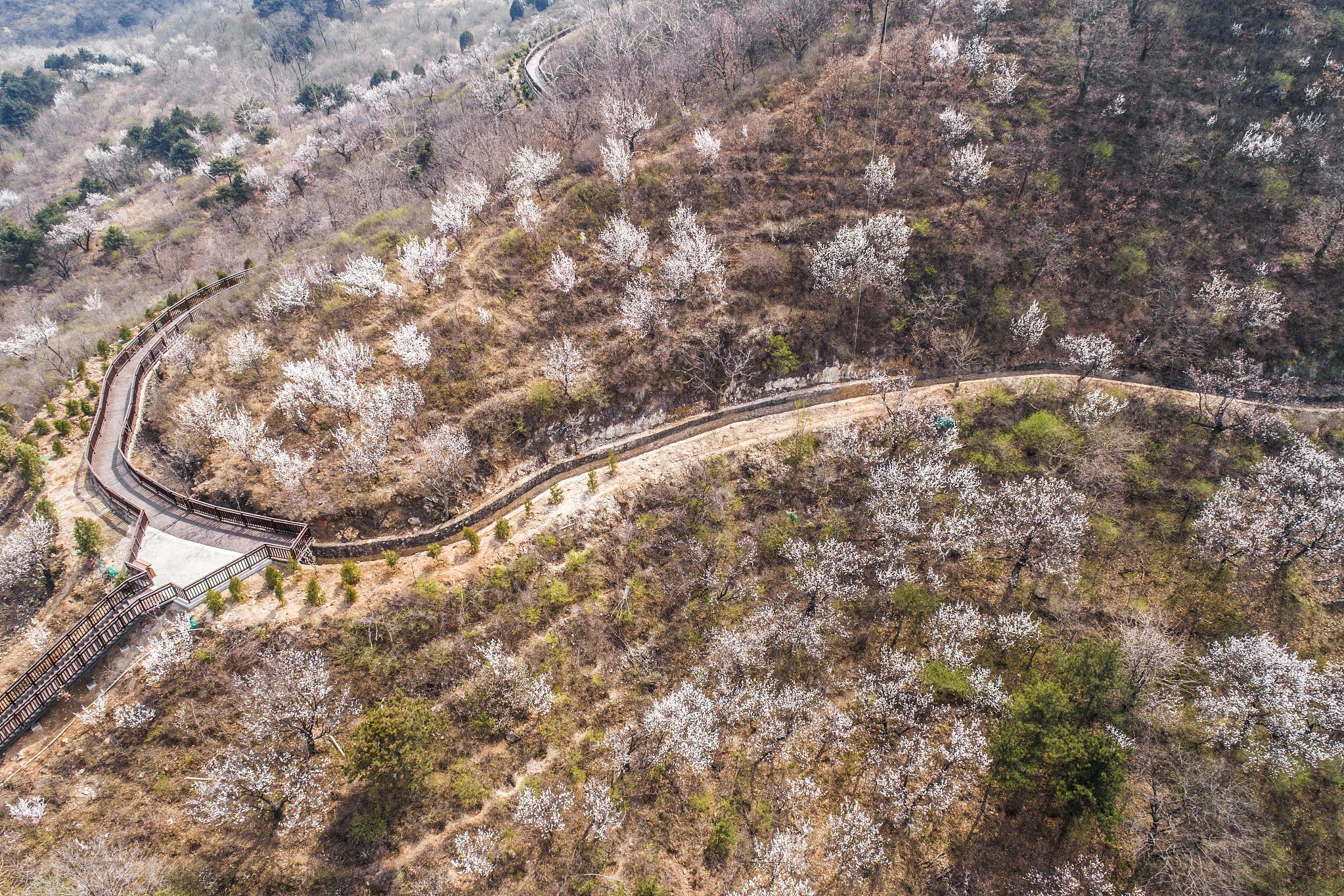 平谷梨树沟景区值得一游 平谷梨树沟景区是一个充满自然风光和历史