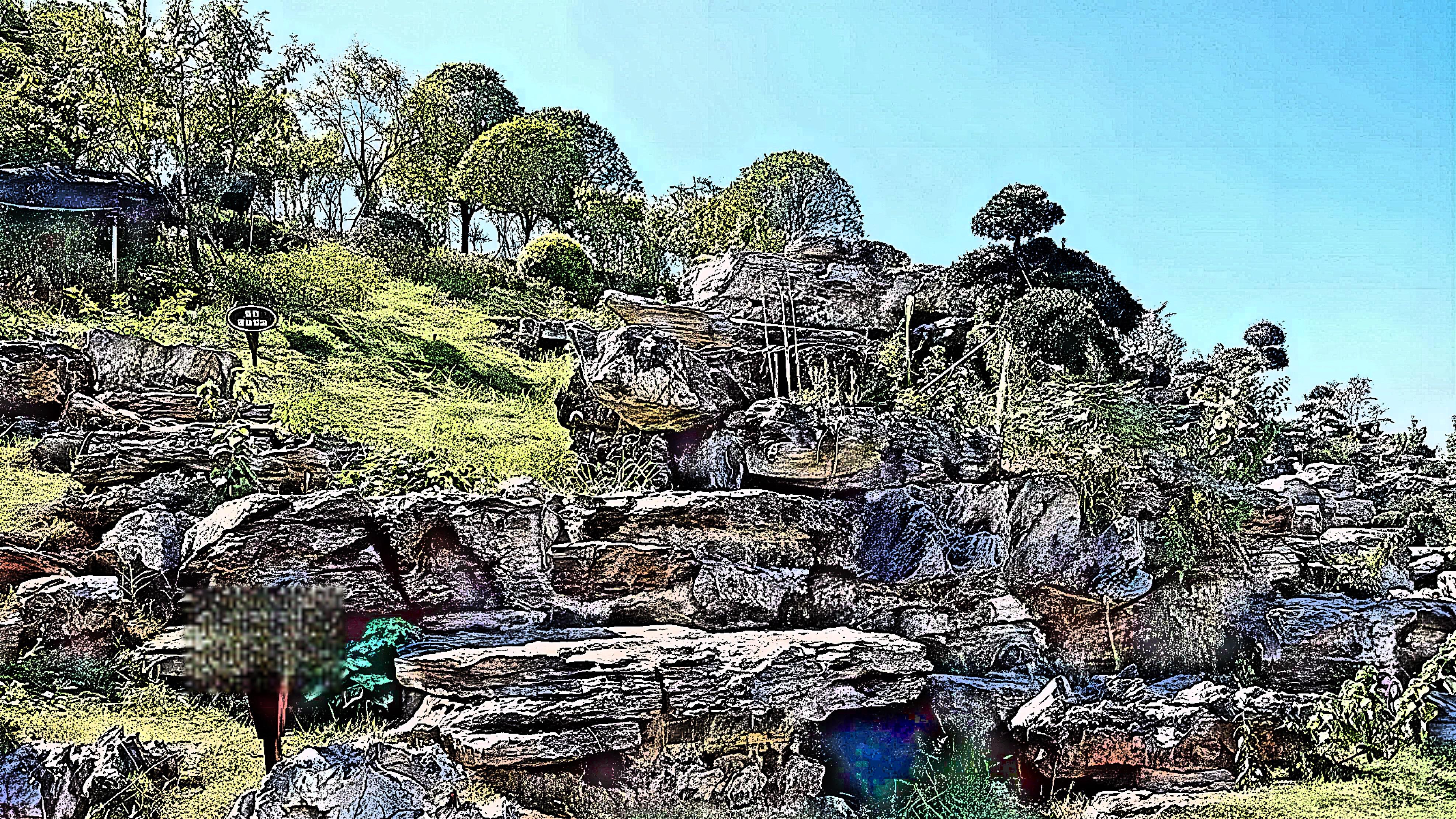 祁东黄花公园,黄花菜的天然保健品 祁东黄花公园位于中国湖南省衡阳市