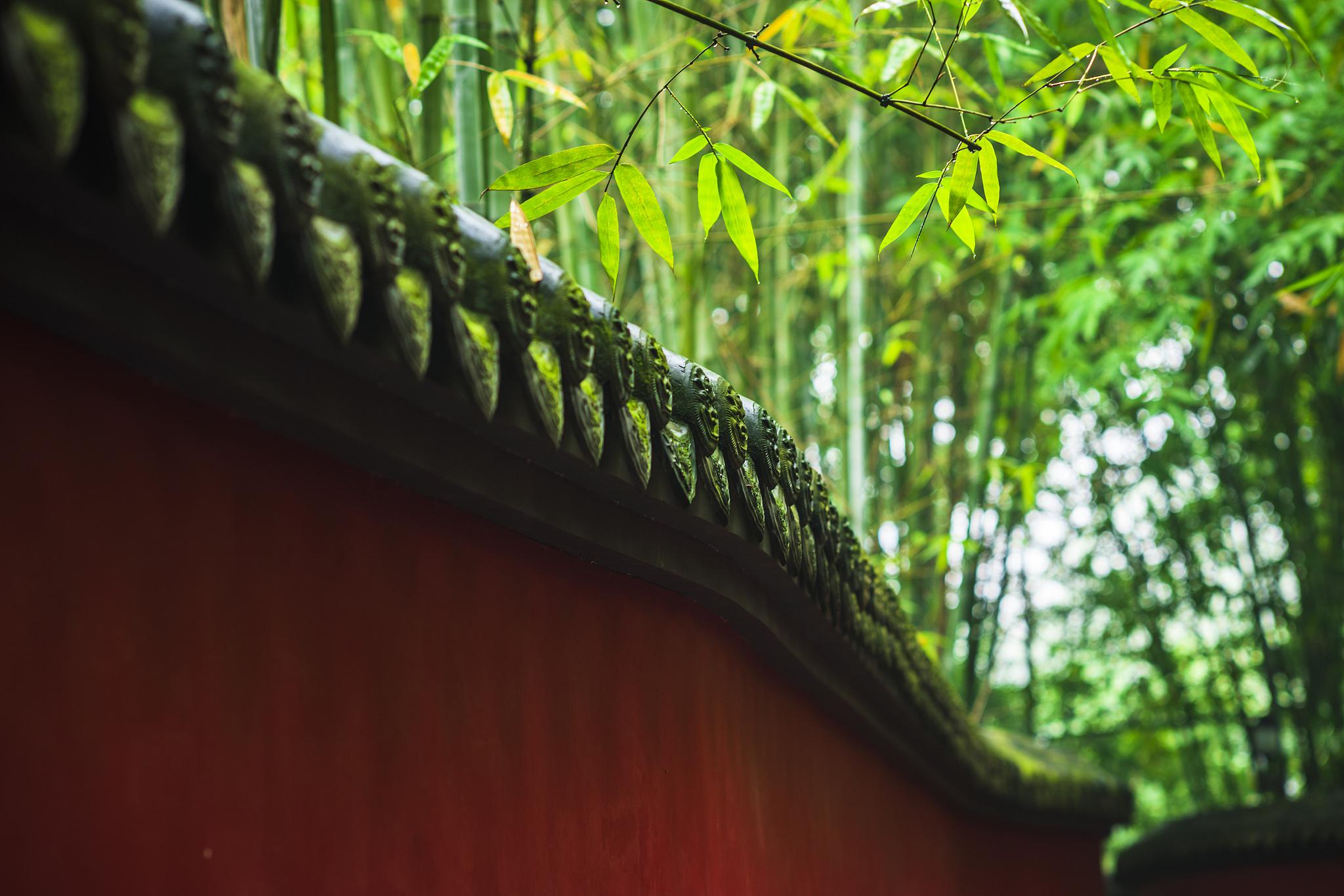 秋日的武侯祠红墙:暖阳与竹影的诗篇 在四季更迭的岁月里,每个季节都