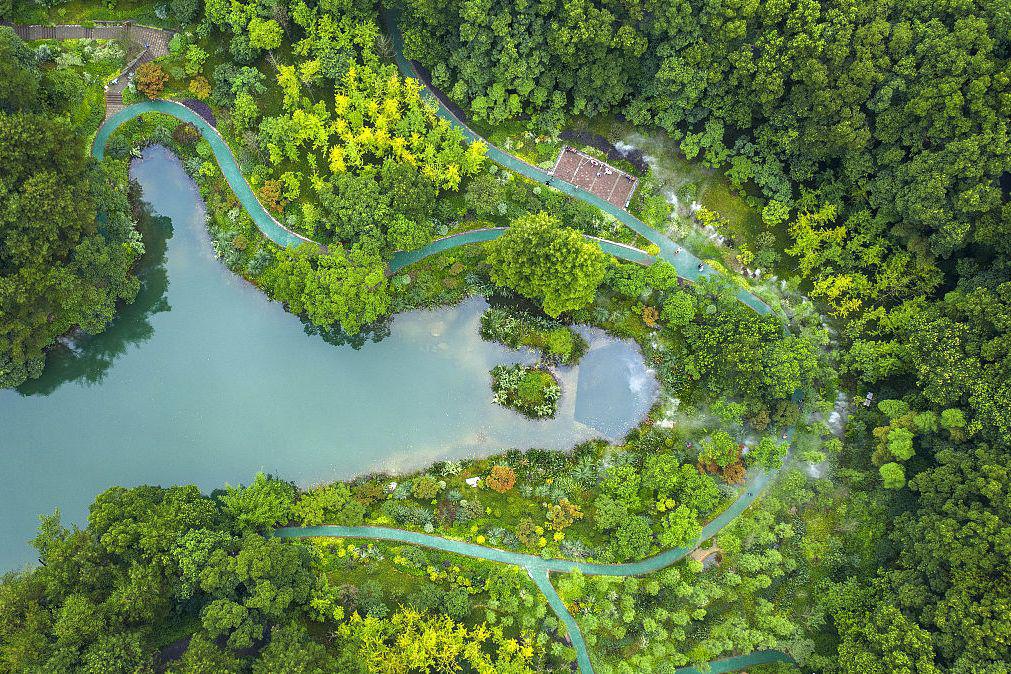 桐庐山湾湾:寻找绿色自由之旅 在这个繁华的世界里,我们常常被城市的