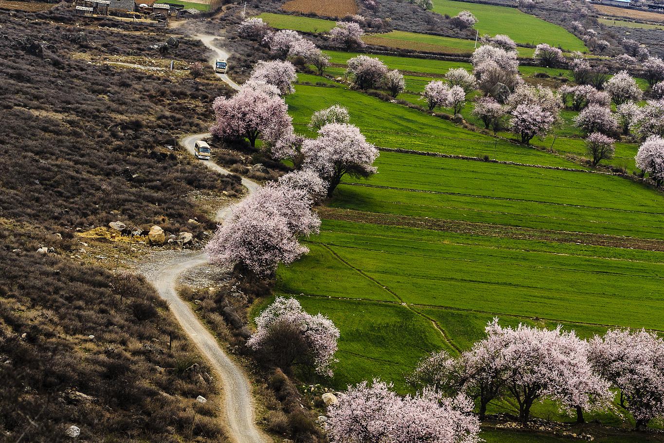绿皮火车四季之旅,揭开大西北风景之美的最佳方式!