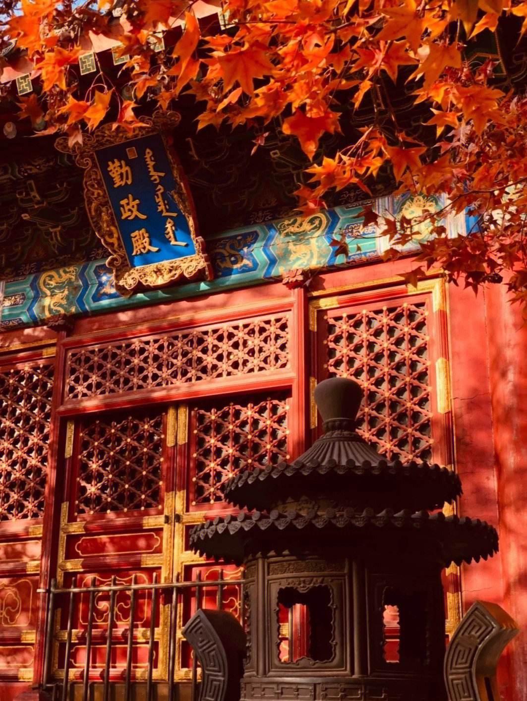中卫香山公园秋季红叶景观 在中国的秋天,红叶景观是一种特别美丽的