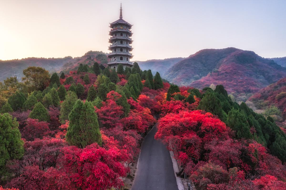 济南红叶谷景区图片图片