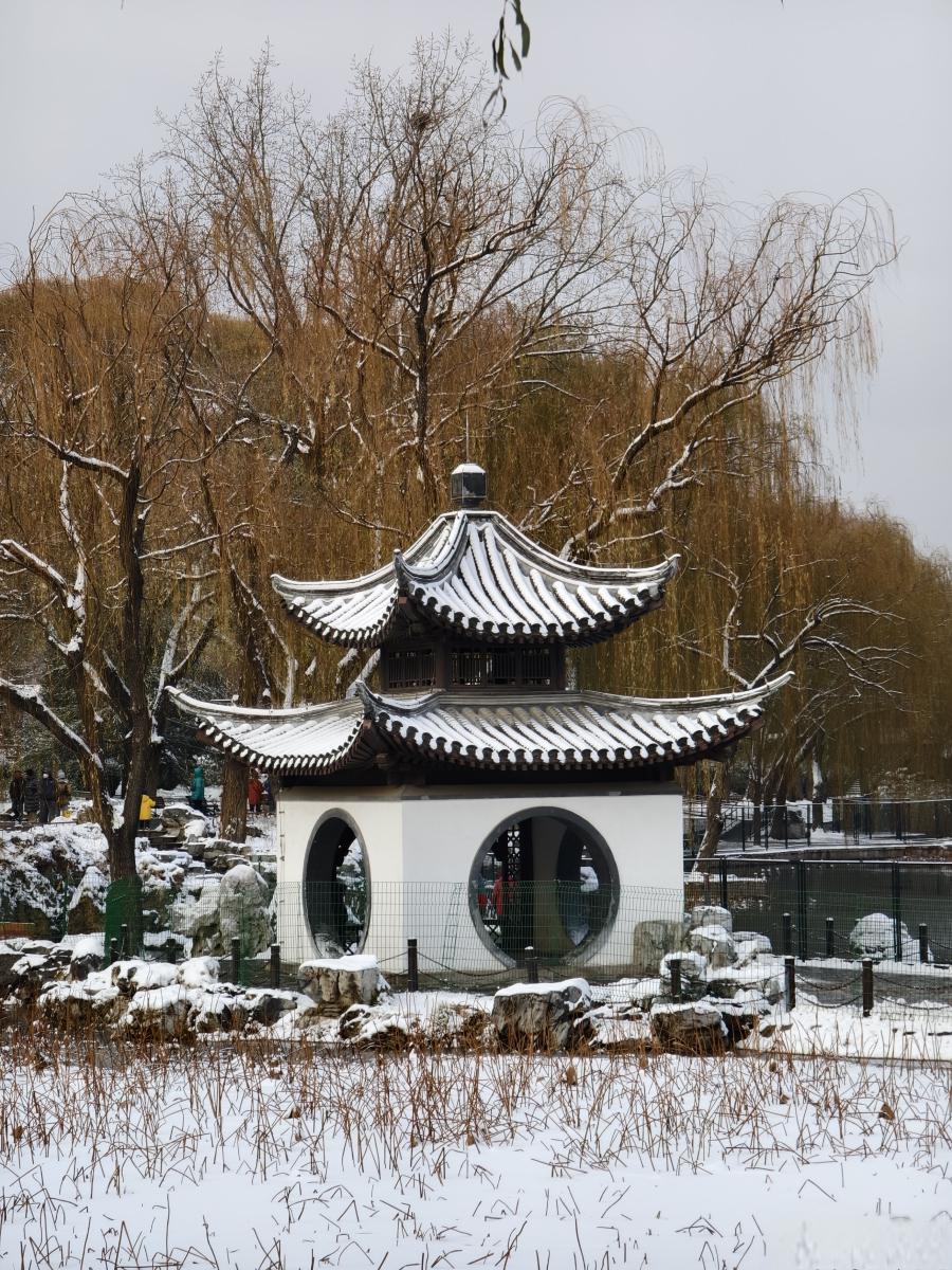 北京陶然亭公园的冬日魔法 北京陶然亭公园,银装素裹,宛如一幅水墨画