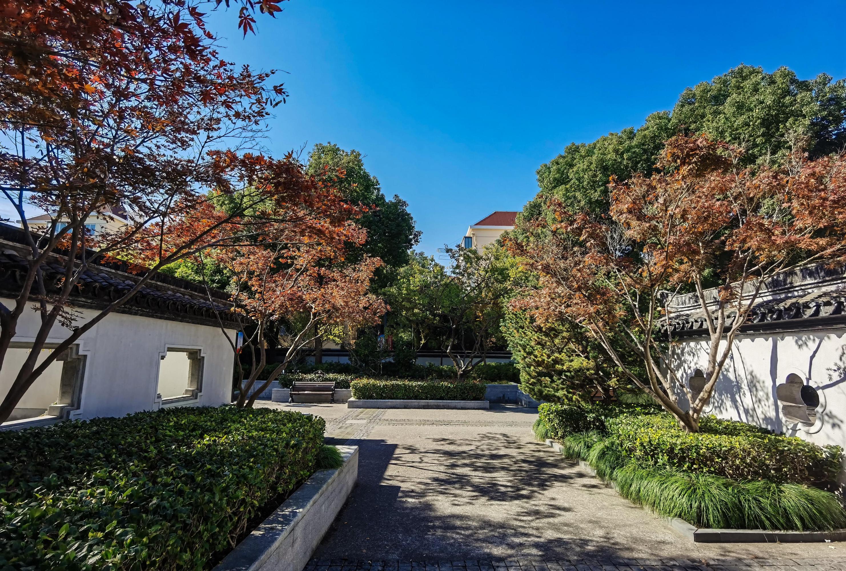 上海梅园公园,一幅色彩斑斓的画卷 上海梅园公园,如同一幅色彩斑斓的