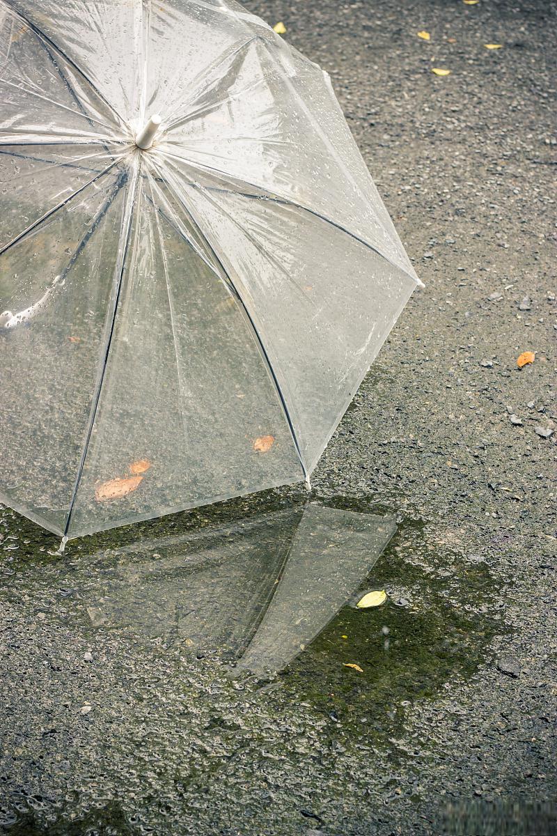 雨伞伤感图片雨中图片