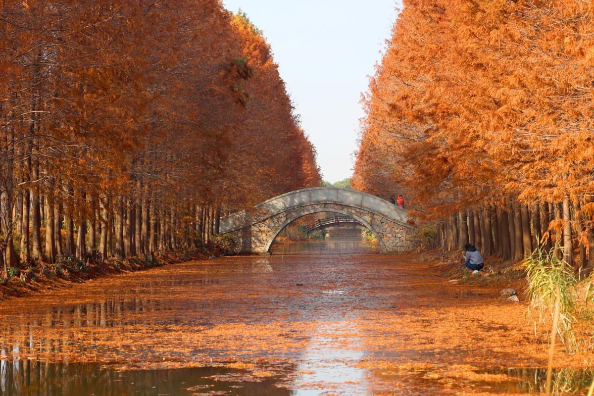 冬日苏州,美景如画 冬天的苏州,是一幅丰富多彩的画卷.