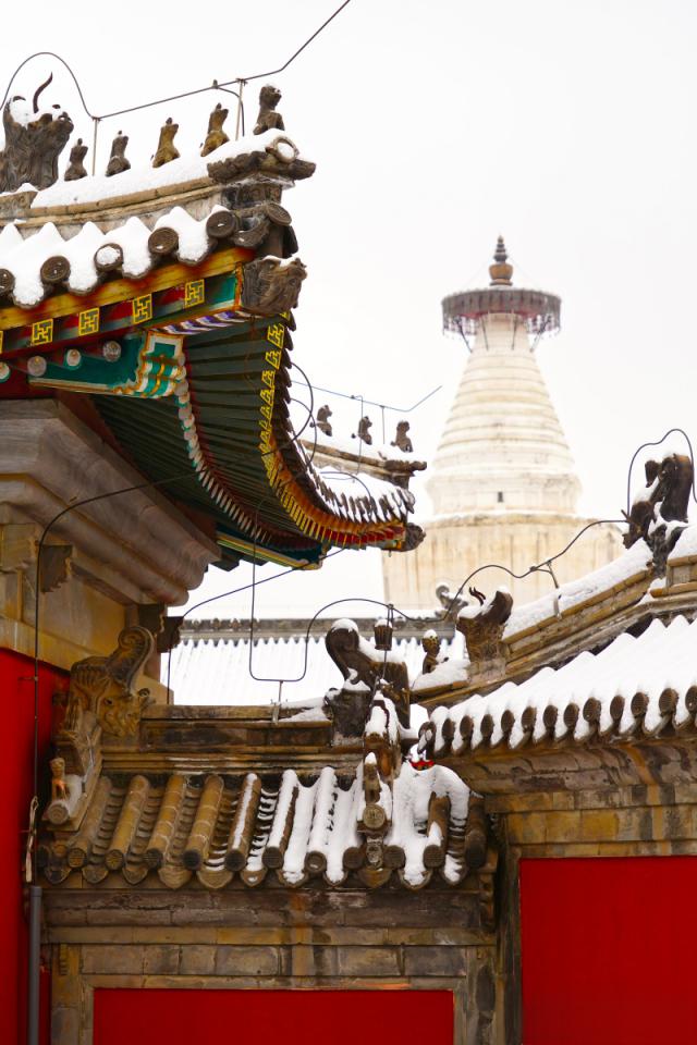 在这场大雪中,西城区的白塔寺格外引人注目.