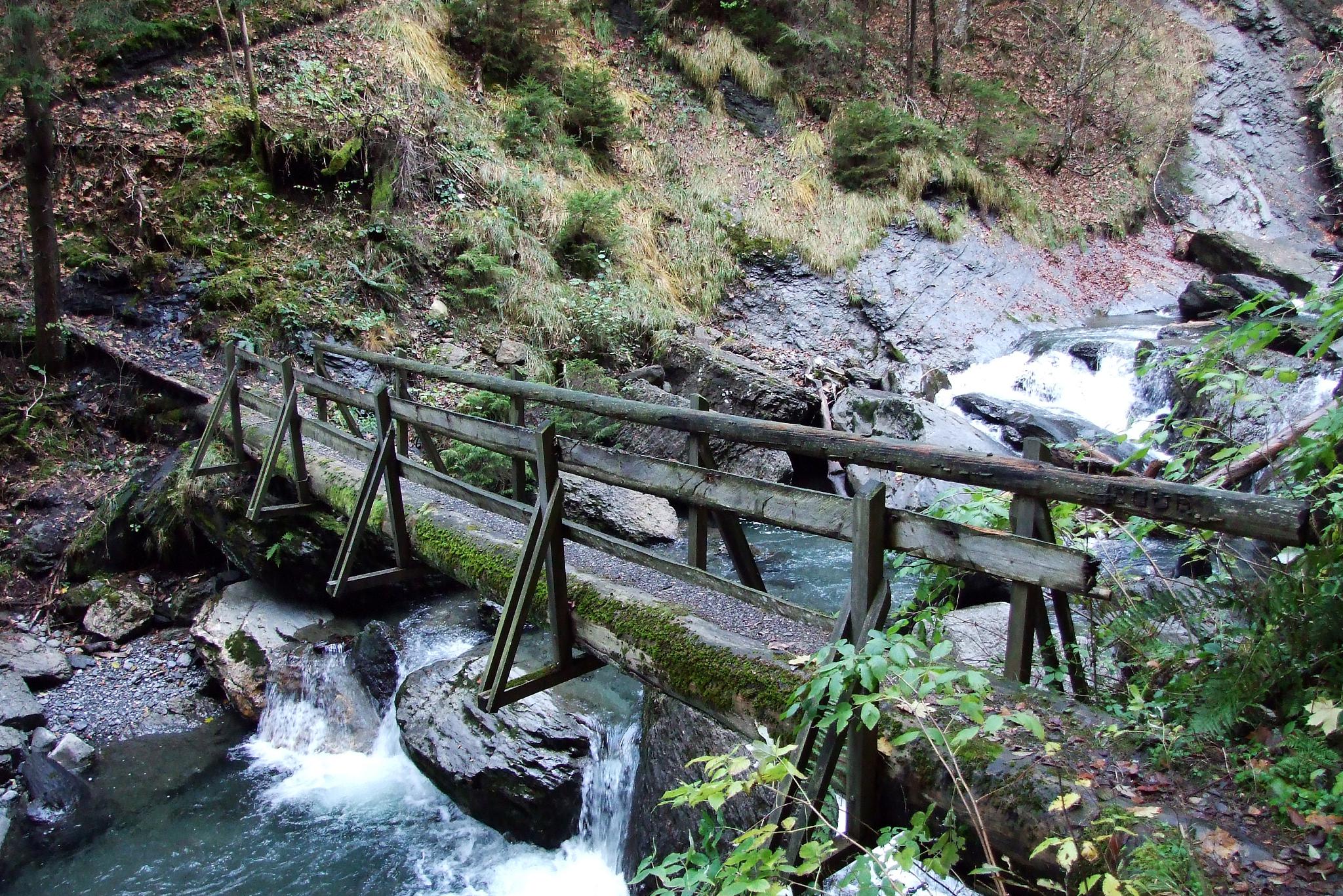 大水川自驾游攻略 宝鸡大水川景区位于陕西省宝鸡市陈仓区,这里有得天