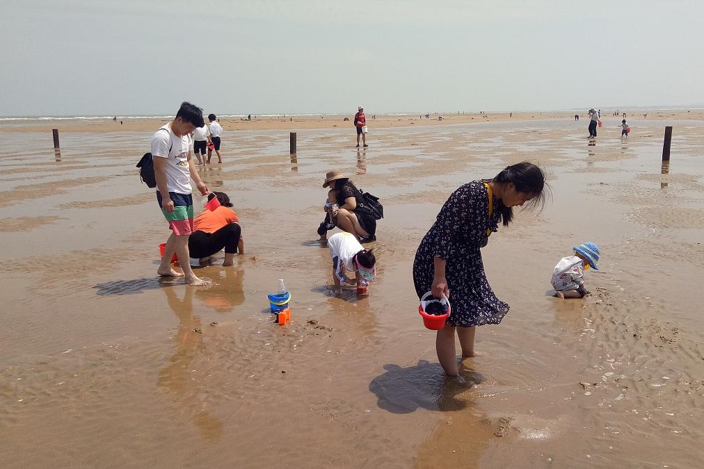 威海小石岛赶海公园图片