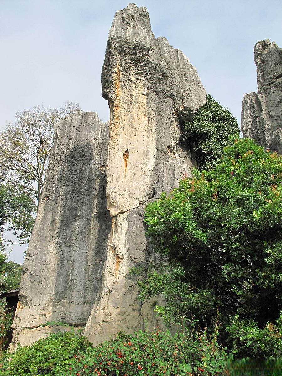 爱情山