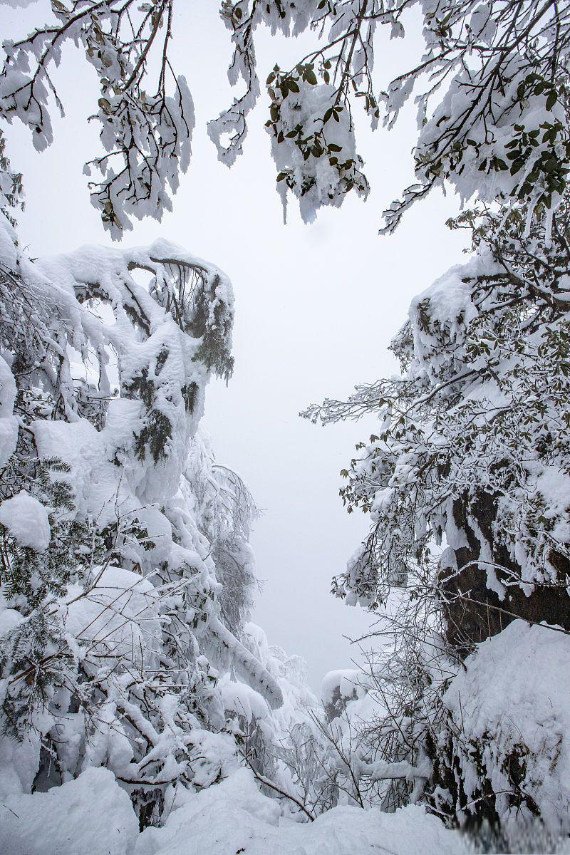 武夷山雪景图片